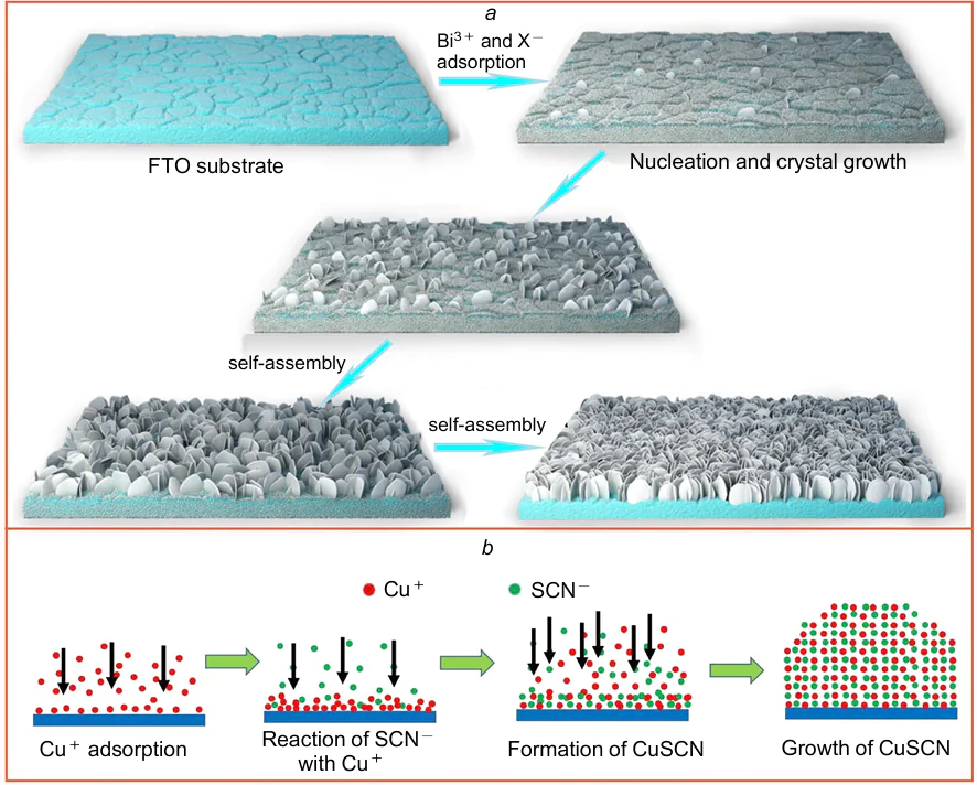 Models of formation of NS arrays on the FTO surface during the surface ionic layer deposition synthesis. (a) BiOHal nanosheets (Hal=Cl, Br, I);194 (b) CuSCN nanosheets.195 Figure a is published with permission from Elsevier, Fig. b is published with permission from RSC