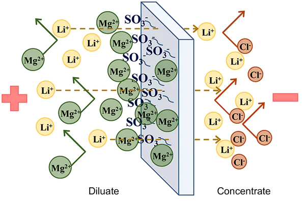 Formation of a positively charged layer of Mg2+ cations on the surface of a cation-exchange membrane