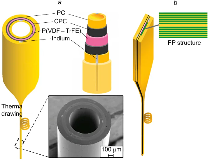 Scheme of formation of Fabry-Perot interferometer from the P(VDF-TrFE) copolymer (70:30) based on optical fibre with axial symmetry (a) and multilayer single crystal texture (b).182 PC is polycarbonate; CPC is carbon-filled polycarbonate; FP structure is composed of a sequence of flat active elements as uniaxially stretched films. Published with permission from Springer Nature.
