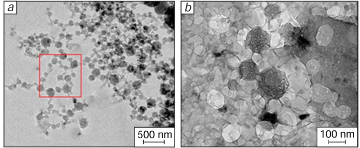 TEM images of a nanoemulsion prepared without (a) and with (b) the addition of SiO2 nanoparticles.116 Copyright belongs to Elsevier.