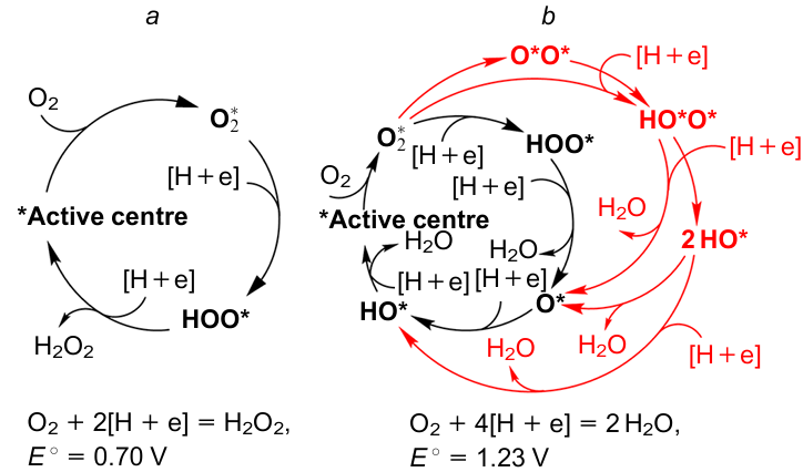 Two- (a) and four-electron (b) catalytic cycles of ORR in an acidic medium.105 Associative and dissociative pathways are marked black and red, respectively