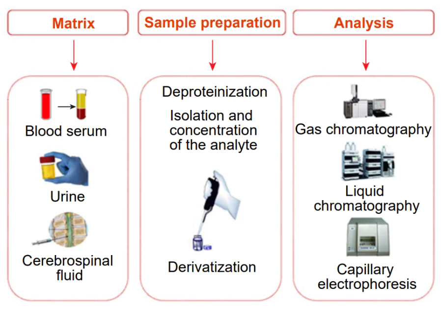 Basic steps and methods for the determination of AMCAs in biological fluids.