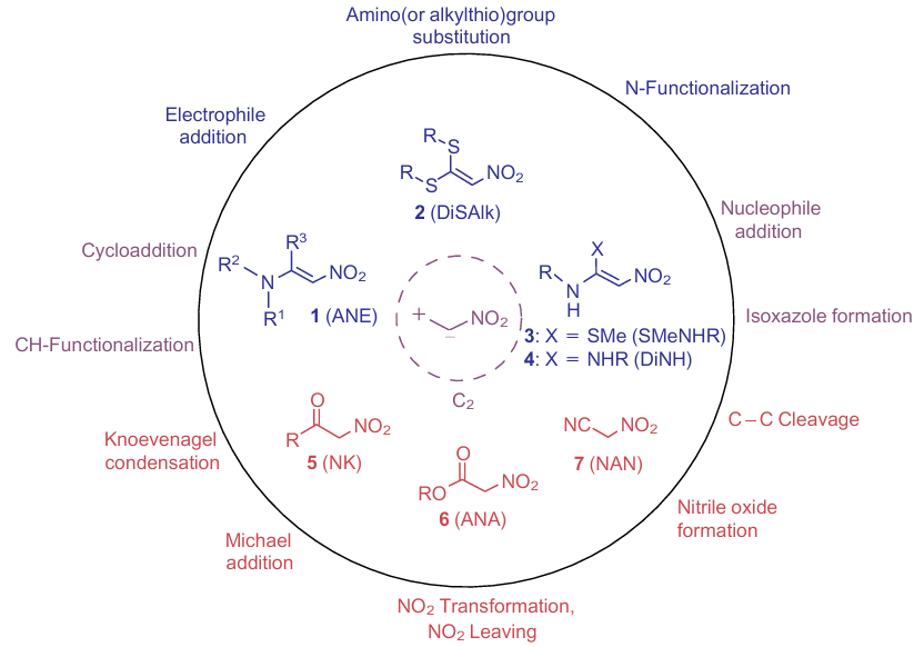 Structures of nitro-containing synthetic equivalents and possible transformations with their participation. The following abbreviations are used: ANE is aminonitroethylene, DiSAlk is α,α-di(alkylthio)nitroalkene, SMeNHR is (alkylthio)aminonitroalkene, DiNH is α,α-di(amino)nitroalkene, NK is α-nitroketone, ANA is alkyl nitroacetate, NAN is nitroacetonitrile.