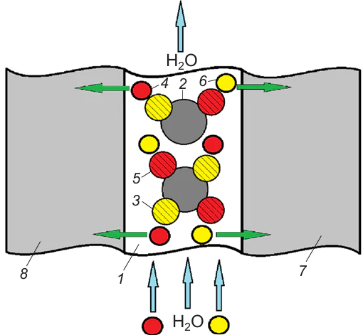 Structure of the mosaic membrane. (1) polymer matrix; (2) micropores; (3) positively charged fixed SGs incorporated in the anion exchange resin particles; (4) anions; (5) negatively charged SGs incorporated in the cation exchange resin particles; (6) cations; (7 and 8) electrodes.47