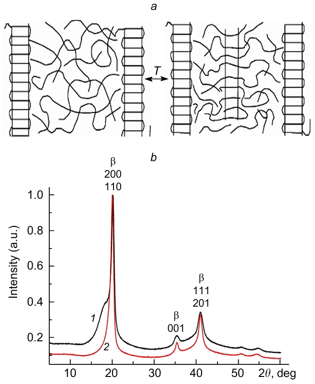 Scheme of the reversible structural rearrangements in the interlamellar layers of crystalline polymers during heating-cooling processes (a) and X-ray diffraction curves for the P(VDF-TrFE) film (70:30) obtained by crystallization from a tetrahydrofuran solution at room temperature (1) and after subsequent annealing at 120°C(2).192 Publishedwithpermission from John Wiley and Sons.