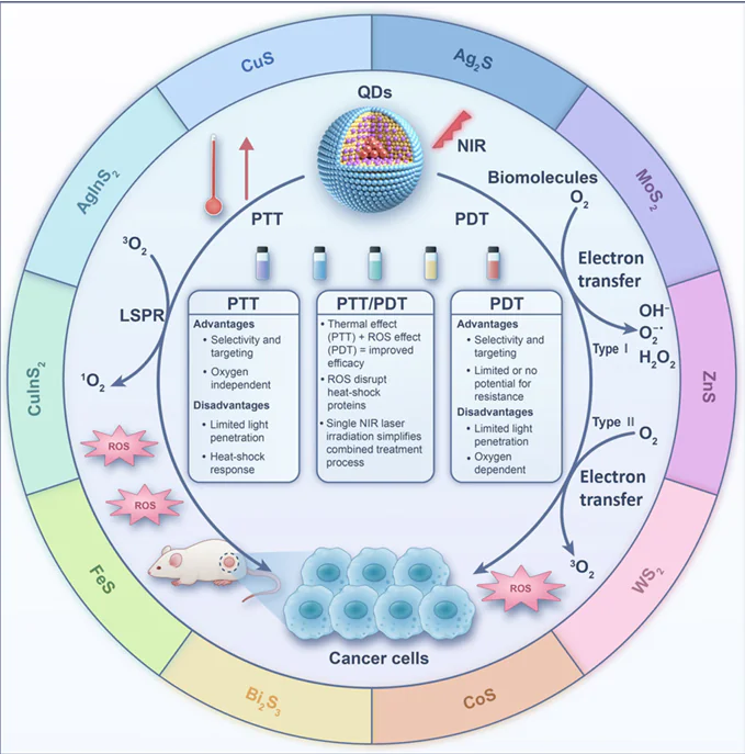 Progress in metal sulfide quantum dots in the photothermal/photodynamic treatment of tumours
