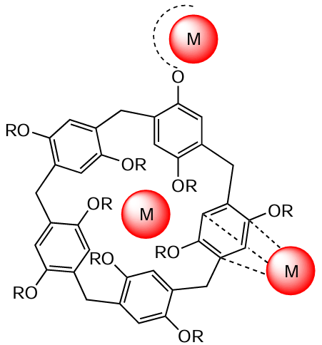 Proposed P5A coordination modes for the metal-based catalytic species