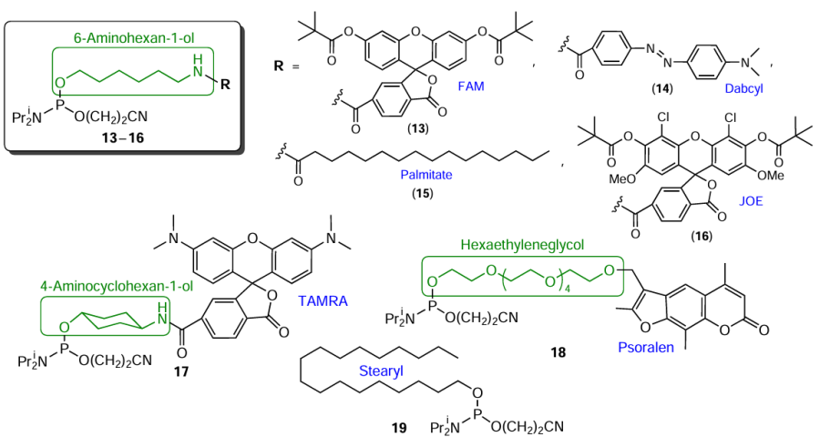 Structures of commercial terminal phosphoramidite modifiers based on amino alcohols or diols (13 – 18) and hydroxyl-containing FM (19)