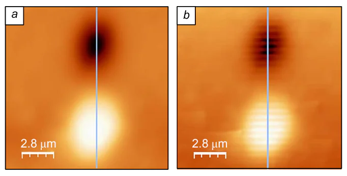 Distribution of the surface potential in an initial P(VDF-TrFE) film (65:35) after its local polarization with a voltageof -100 V (dark area) and +100 V (light area) (a) and upon laser modulation (b).241 Publishedwith permission from AmericanPhysicalSociety.