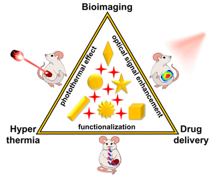 Biomedical applications of hybrid structures based on gold nanoparticles and fluorophores determined by their physico-chemical properties.