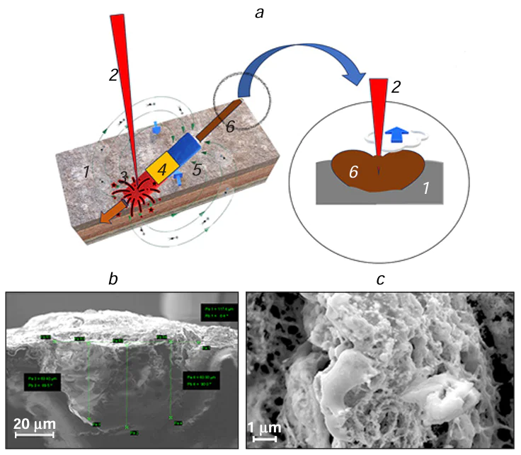 (a) Profile of a deposited structure: (1) substrate (target), (2) laser beam; (3 – 5) thermal zones of deposition: (3) high-temper ature zone, (4) medium-temperature zone, and (5) low-temperature zone, (6) deposited LCLD track. (b) Electron micrograph of a cross section of a molybdenum track formed on an ST-50.1 glass ceramic substrate. (c) Electron micrograph of the surface of the same track (sorbitol as the reducing agent and the ligand, pH = 8). Copyrights for Figs 6 b,c belong to Elsevier.7