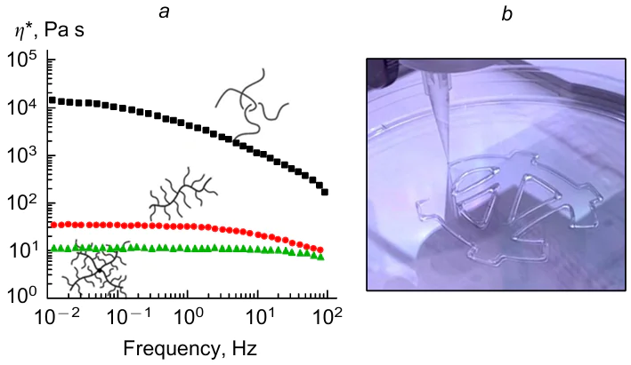 Frequency dependences o fthe complex viscosity (η*) of PDMS melts with similar molecular weights (Mn ≈ 500000) but with varying architecture (linear, bottlebrush and star-like bottlebrush) (a).20 The 3D printing with a thermosensitive hydrogel based on linear-brush-linear block copolymers (b).23 Figure a is reproduced with the permission of Springer Nature, Fig. b, with the permission of American Association for the Advancement of Science.