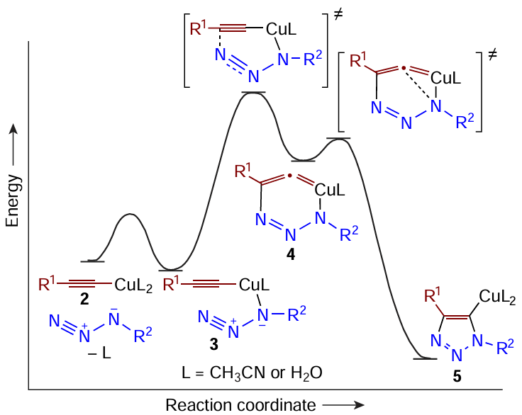Schematic representation of the energy profile of the reaction of copper(I) acetylides with organic azides to give 1,4-disubstituted 1,2,3-triazoles. Reproduced from Himo et al.260 with the permission of the American Chemical Society.