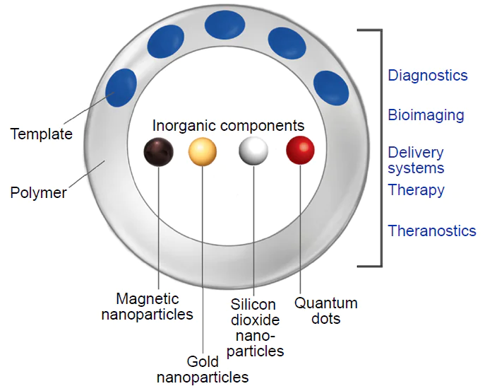 Various types of inorganic NPs in combination with nanosized MIPs and their possible biomedical applications