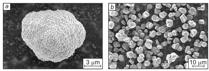 SEM images of the agglomerate consisting of primary particles (a) and non-agglomerated with each other single-crystal particles (b) of the cathode material based on Ni-rich NMC. The figure was created by the authors based on archive materials for the Ref. 158.