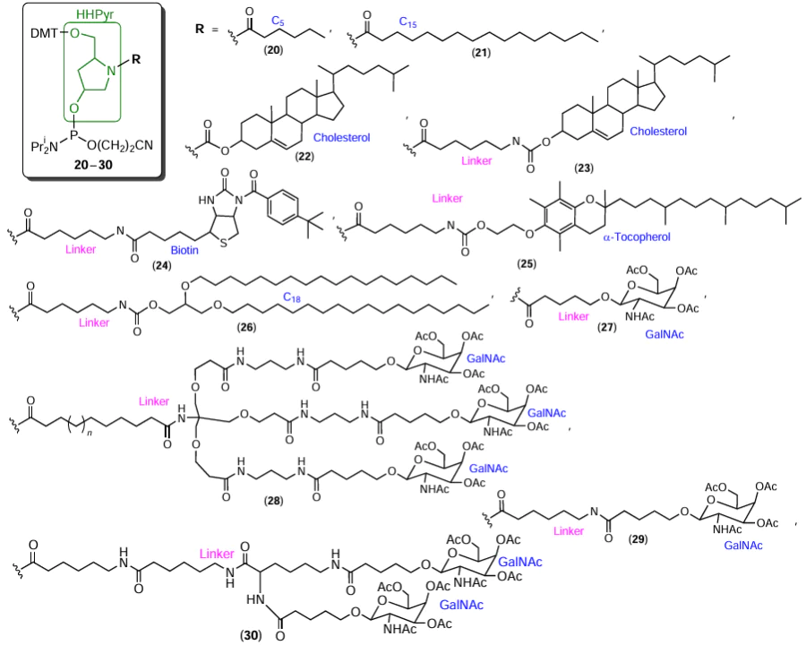 Structures of lab-made hydroxyprolinol modifiers 20 – 30