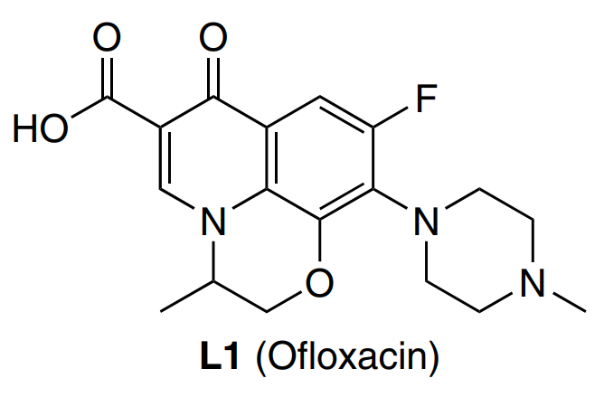 Structure L1