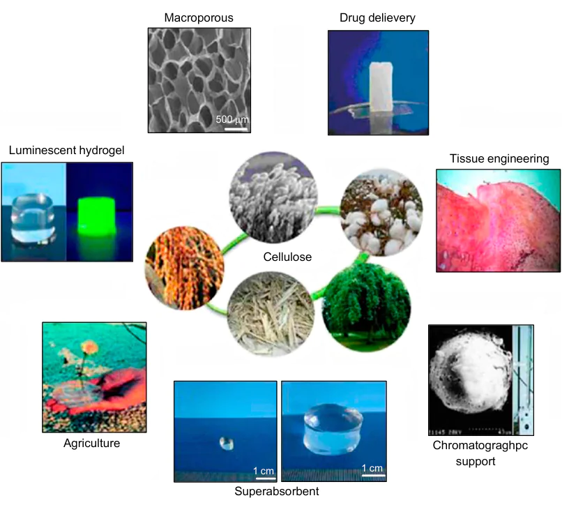 Various applications of hydrogel.299 Published in accordance with the Creative Commons Attribution license CC BY 4.0