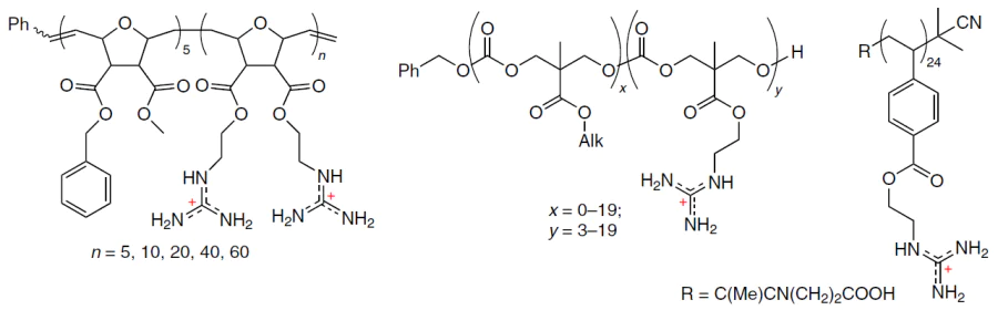 Structures of guanidine-containing polymers