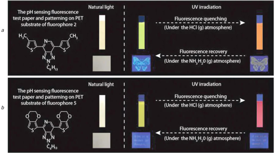 Fluorescent paper strips for the detection of acids in the presence of compounds 198a (a) and 198b (b). Reproduced from Lu and co-workers 80 with permission from the Royal Society of Chemistry.