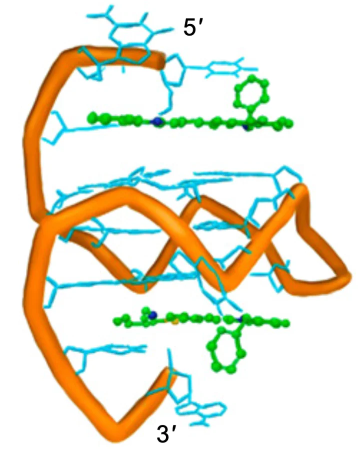 Results of molecular docking of compound 95 into pu22[84].