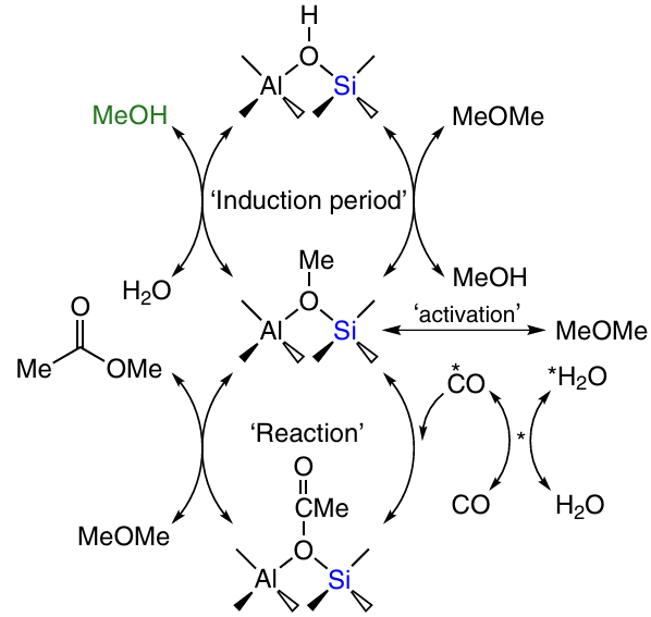 Proposed mechanism for MA formation during DME carbonylation.231