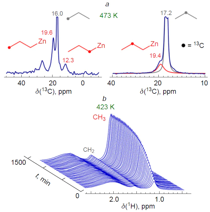 13С MAS NMR spectra of propane-1-13С and propane-2-13С on Zn2+/H-BEA zeolite after transformation at 473 K (а). 1Н MAS NMR spectrum of propane-d8 on Zn2+/H-BEA zeolite in situ at 423 K (b). The symbol • denotes the position of the 13C atom in the hydrocarbon moiety. The Figure contains a fragment of a Figure from a previously published article by the authors.328