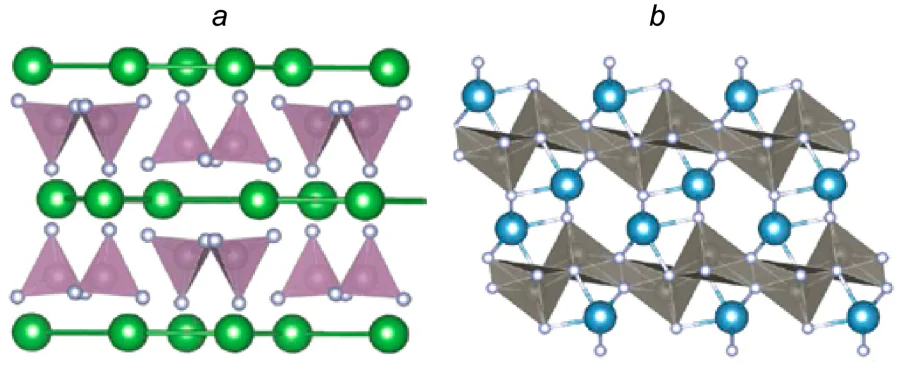 \( C2/c \) structures implemented in LaCrN3, LaMoN3, LaTcN3, YWN3, YTcN3, SrTcN3, CaReN3, SrReN3 and BaReN3 (a) and \( C2/m \) structure of CaTcN3 (b)[185]. Copyright © 2015 American Chemical Society.