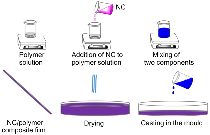 Solution casting technique for preparation of NC/polymer composite