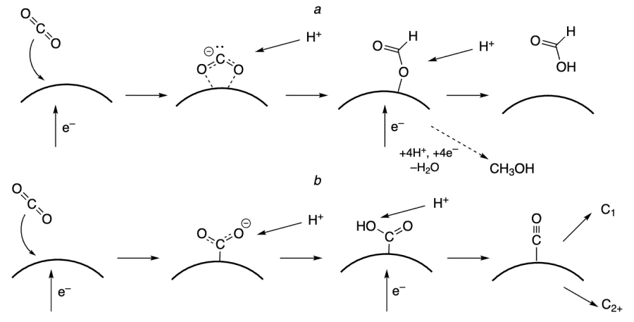 Formation of formic acid and bound CO through different pathways of the CO2 electroreduction.