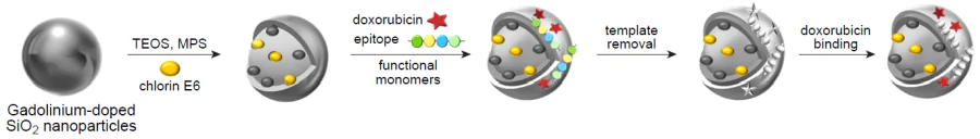 Schematic diagram of the synthesis of hybrid MIPs based on fluorescent NPs against doxorubicin and epitope of CD59 protein.171
