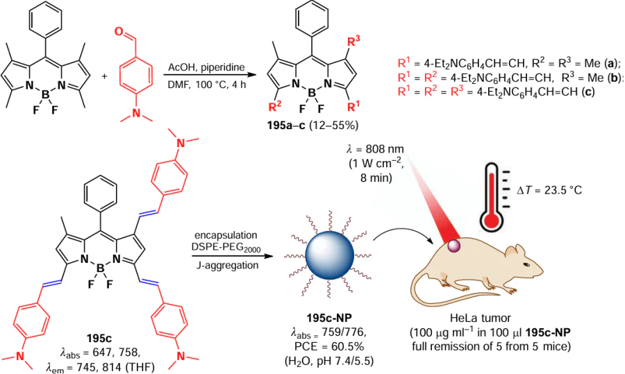 Schematic of the synthesis of BODIPY 195a – c and the principle of action of 195c-NP nanoparticles in vivo. The figure created by the authors based on the data of the publication217.