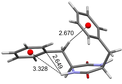 Molecular structure of DKP form of SPhe-SPhe (DUZDUX, 283-303 K). The figure was created by the authors using data of Ref. 135.