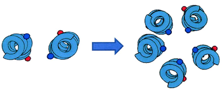 Top view of Alm peptides in the membrane: transformation from dimers to pentamers with increasing P/L. Spin labels replacing either Aib1 or Aib16 are shown (red and blue, respectively).87