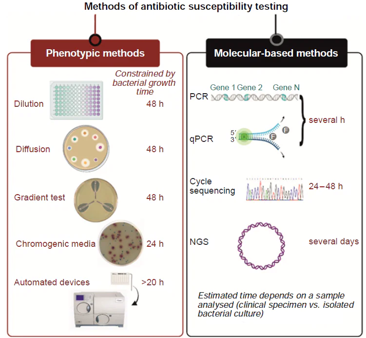 Current methods for antibiotic susceptibility testing and turnaround time. The figure was adapted from Ref. 91 under the CC BY 4.0 license.