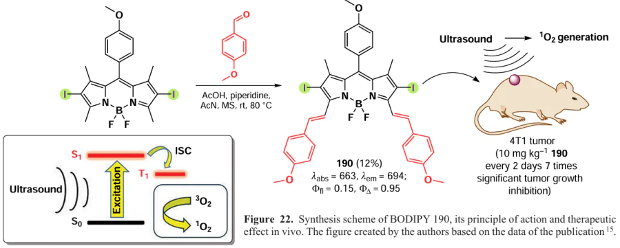 Synthesis scheme of BODIPY 190, its principle of action and therapeutic effect in vivo. The figure created by the authors based on the data of the publication15.