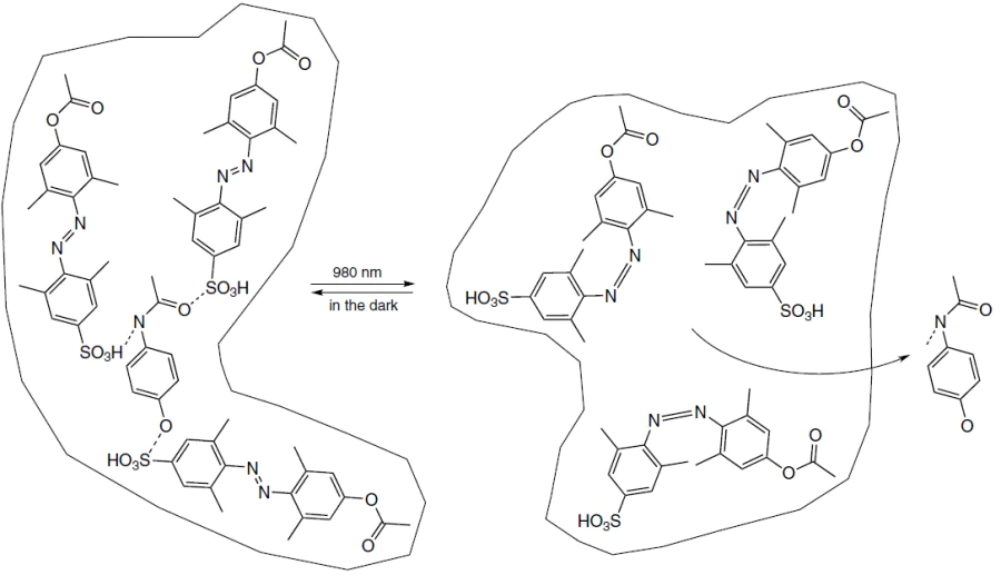 Mechanism of light-induced release of paracetamol from hybrid MIP.221