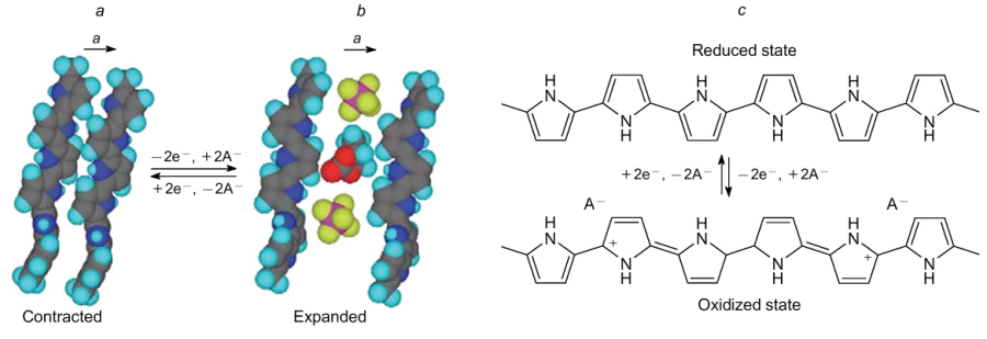 Mechanism of the polypyrrole-based actuator membrane: (a, c) (upper), polypyrrole in the reduced state; (b, c) (lower) polypyrrole in the oxidized state, the ions are located between the chains (yellow/crimson and A ) and the solvent (red/blue/gray). The actuation occurs through intercalation and deintercalation of ions between the chains. Figures 4a and 4b are reproduced with the permission of Elsevier.4 Figure 4c was prepared by the authors using original data from the study4