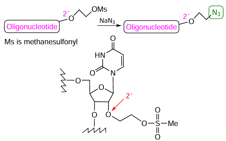Scheme for the synthesis of 2'-azido RNA derivatives (here and below, a zigzag line denotes an oligonucleotide, nucleotide, or nucleoside)