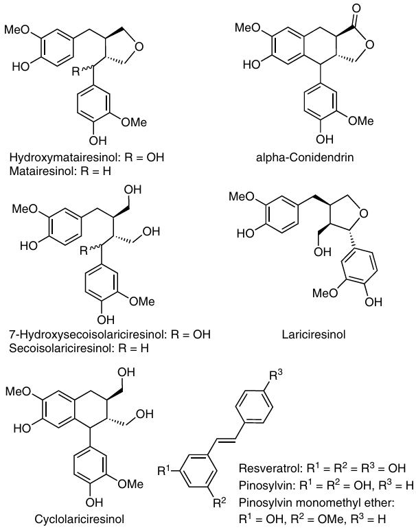 Polyphenols subjected to thermal transformations.50