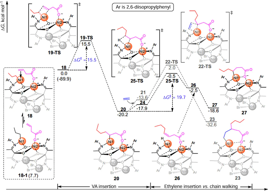 Energy profiles of the Ni57-catalyzed copolymerization of ethylene and C119 anion.133 Reproduced under the Creative Commons License CC-BY.