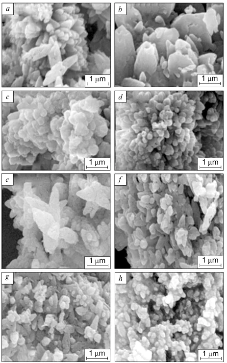 SEM images of the synthesized PCC produced at reactant concentrations of 1M (a-d) and 2M (e-h). Reproduced from Ref. 255 with permission from Springer.