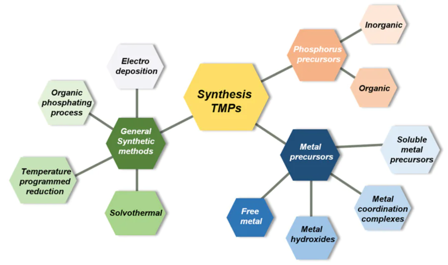 Representative synthetic strategies for TMPs