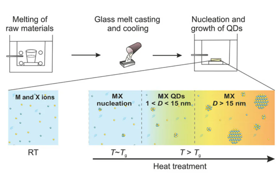 Basic diagram of the MX type QDs (M = Cd, Cu, Pb; X = S, Se, Cl, Br, Te) synthesis in the glass matrix. After quenching, glass is a colourless transparent matrix with uniformly distributed metal (M) and chalcogen (X) ions. The additional heat treatment at temperatures near or above the glass transition temperature Tg leads to the formation and growth of QDs.