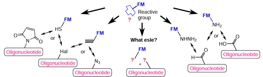 Methods for the synthesis of oligonucleotide conjugates with a functional molecule (Hal is halogen atom)