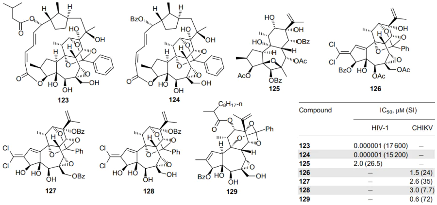 Structures and antiviral activity of daphnane-type diterpenoids 123-129 isolated from the plants of the genus Trigonostemon.81-85