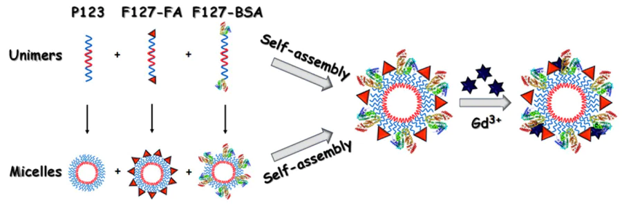 Schematic representation of micellar contrast agents’ development from the triblock copolymers conjugated with FA receptor-targeted ligands