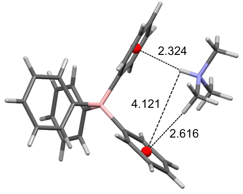 NH...π and CH...π contacts in salt 72. The figure was created by the authors using data of Ref. 108.