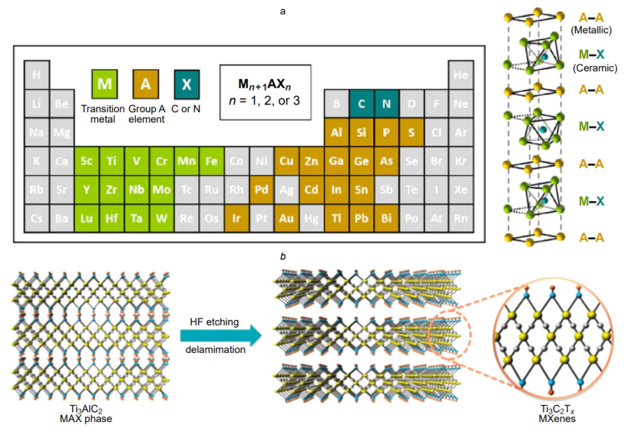 Periodic Table of Elements with highlighted elements present in other MAX phases (a) and basic diagram of MXene synthesis (b)[198].