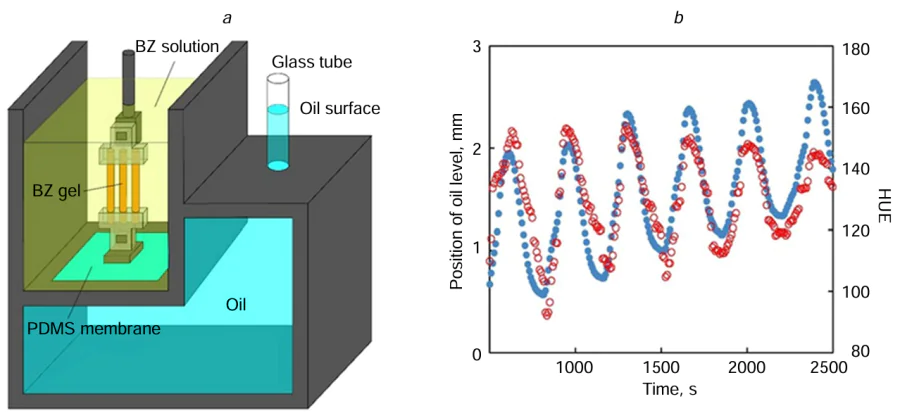 (a) Diagram of the hydraulic pump powered by self-oscillating gel 36. (b) Time profiles of the oil level and average hue value of BZ gels in the pump.116 Published under the Creative Commons CC BY license.